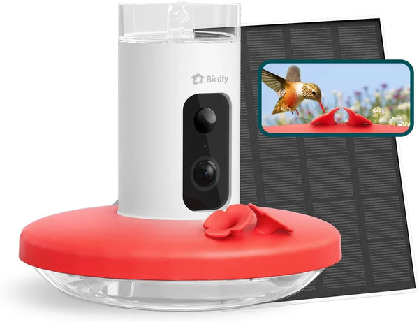 Hummingbird Feeder (Outdoor Hanging Type, with Camera, Ant-proof Groove), supports real-time viewing via 1080P high-definition application, equipped with artificial intelligence hummingbird recognition function, automatic recording and K1122