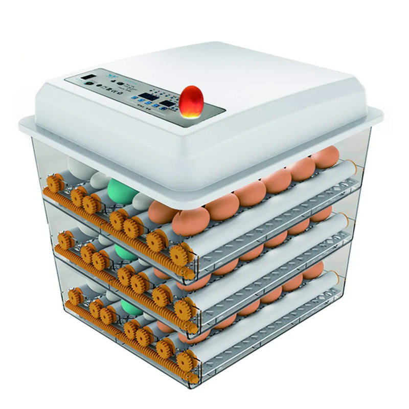 Egg Incubator - Egg Incubator with Automatic Egg Turning and Humidity Control,Large Poultry Hatcher for Chickens Birds Ducks (176 Eggs) H7968