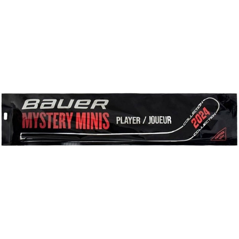 Mystery Mini Hockey Stick, Assorted Designs, 18-in F4377