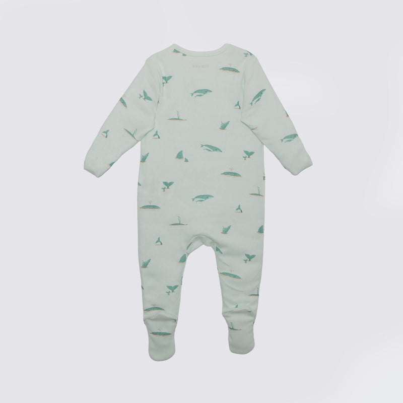 Whale Print Premium Organic Cotton Play and Grow Zippy, Various Sizes Q4913