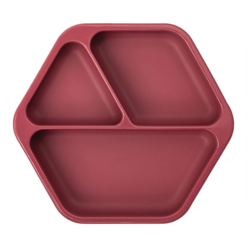 Silicone Plate C9937
